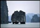TOURISTS IN Halong Bay 1-day Tour